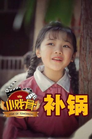 小戏骨：补锅 (2016) poster