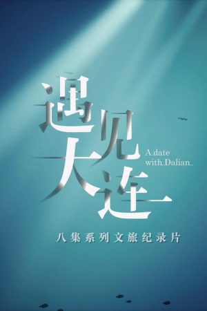 遇见大连 (2023) poster