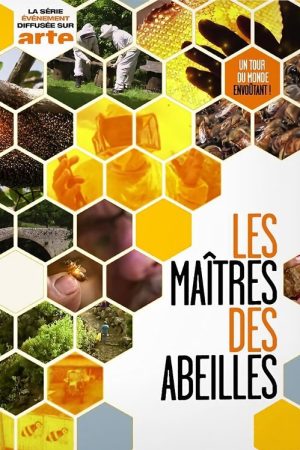 The Bee Whisperers (2019) poster