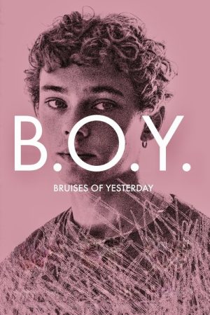 B.O.Y.: Bruises of Yesterday (2024) poster