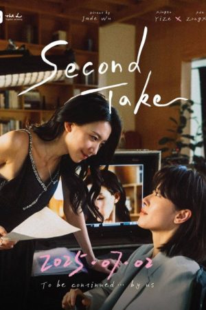 Second Take (2025) poster