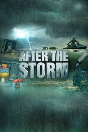 After the Storm (2022) poster