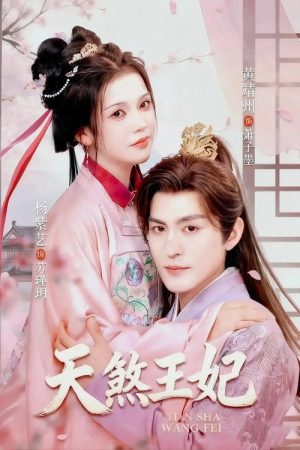 天煞王妃 (2025) poster