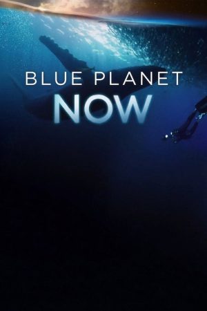 Blue Planet Now (2019) poster
