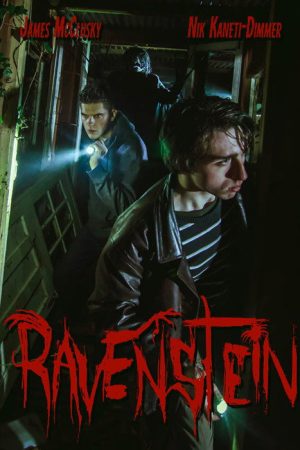 Ravenstein (2020) poster