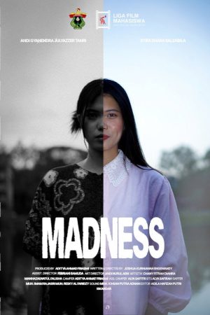 Madness (2026) poster