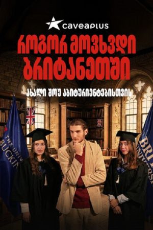 How I Ended Up in the UK (2026) poster