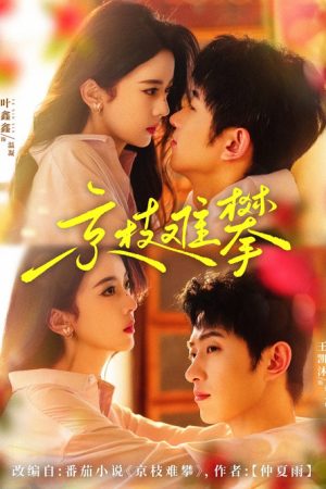 Marriage Escape to Mystery (2025) poster