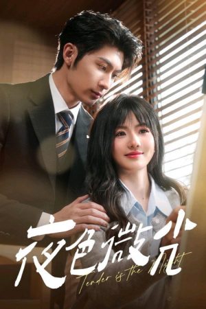 夜色微光 (2025) poster