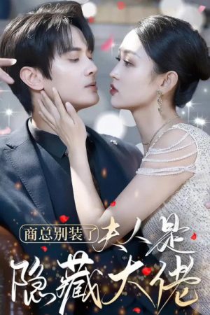 商总别装了，夫人是隐藏大佬 (2023) poster