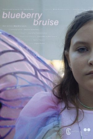 Blueberry Bruise (2024) poster