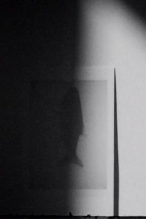 shadow swells (2022) poster