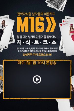 잡학다식한 남자들의 히든카드 M16 (2016) poster