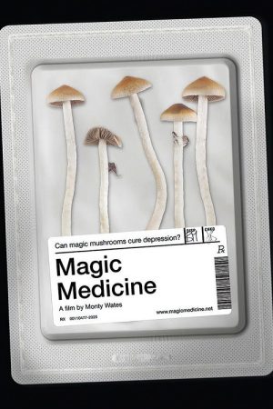 Magic Medicine (2018) poster