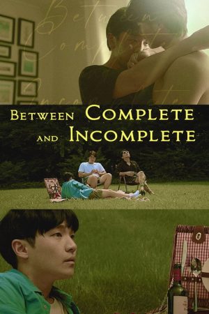Between Complete and Incomplete (2021) poster