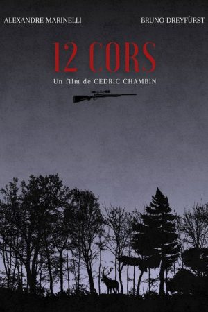 12 Horns (2025) poster