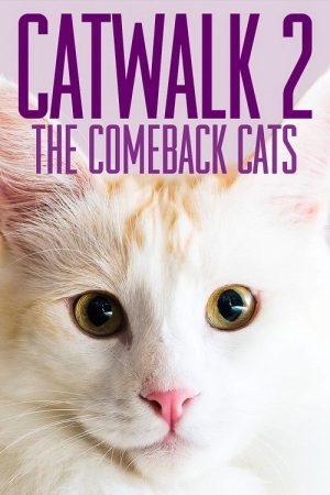 Catwalk 2: The Comeback Cats (2022) poster