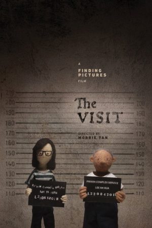 The Visit (2021) poster
