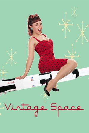 The Vintage Space (2016) poster