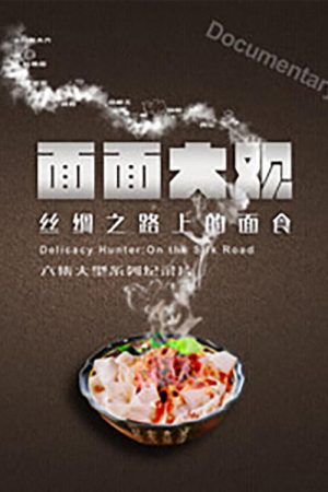 面面大观 (2017) poster