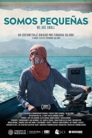 Somos pequeñas (2021) poster