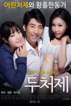 Two Sisters-In-Law (2016) poster