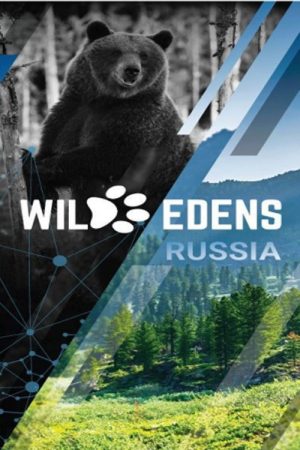 Wild Edens Russia (2018) poster