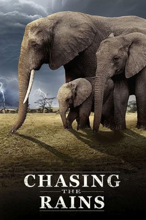 Chasing the Rains (2023) poster