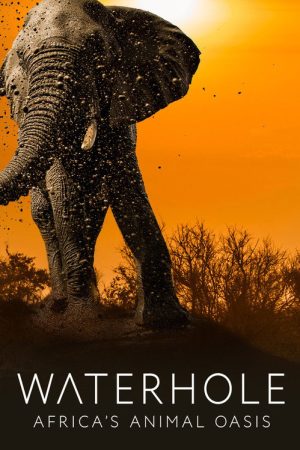 Waterhole: Africa’s Animal Oasis (2020) poster