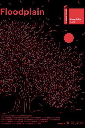 Floodplain (2018) poster
