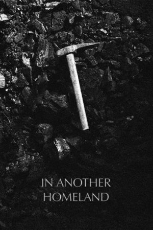In Another Homeland (2026) poster