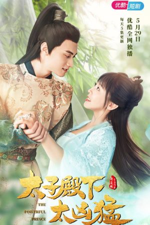 The Powerful Prince (2020) poster