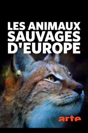 Les Animaux sauvages d’Europe (2020) poster