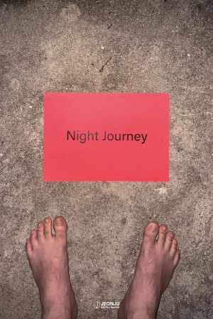 Night Journey (2025) poster