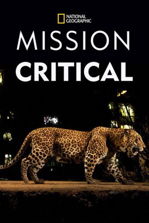 Mission Critical (2016) poster