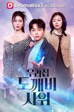 우리집 도깨비 사위 (2026) poster