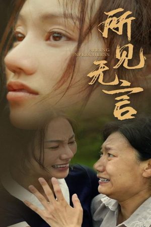 所见无言 (2025) poster