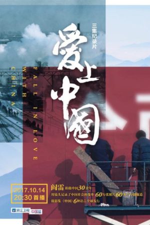 爱上中国 (2017) poster