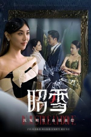 昭雪 (2025) poster