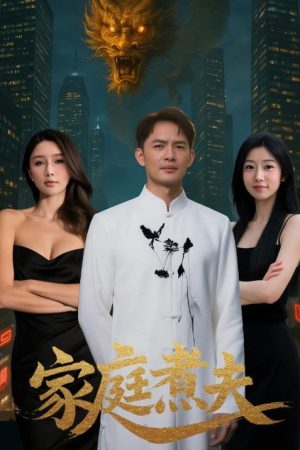家庭煮夫 (2025) poster