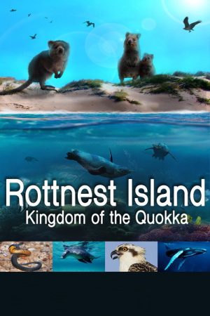 Rottnest Island: Kingdom Of The Quokka (2018) poster