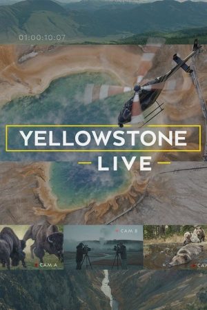 Yellowstone Live (2018) poster