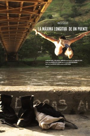 Big Bridge (2018) poster