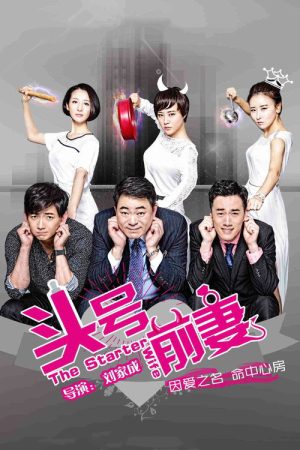The Starter Wife (2016) poster