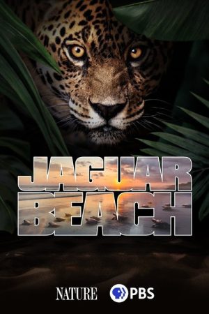 Jaguar Beach‎ (2025) poster