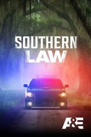 Southern Law (2026) poster