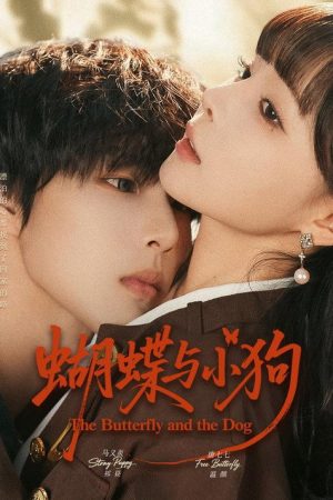 蝴蝶与小狗 (2026) poster