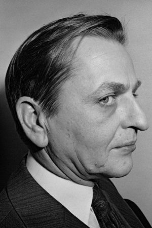Who Killed Olof Palme? (2017) poster