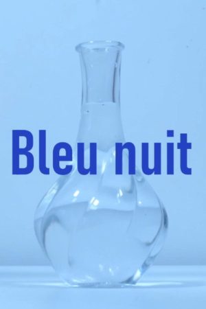 Bleu nuit (2026) poster