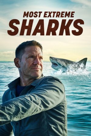 Most Extreme Sharks (2023) poster